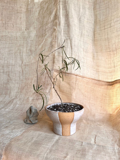 (Sale) 46 S.B striped planter - Mipa's pots and plants