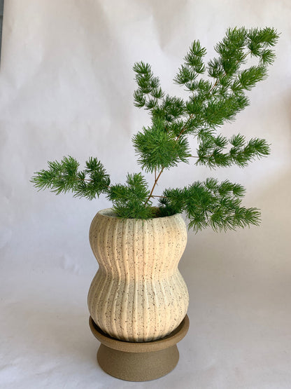 (Sale) 48 Planter + pedestal saucer set - Mipa's pots and plants