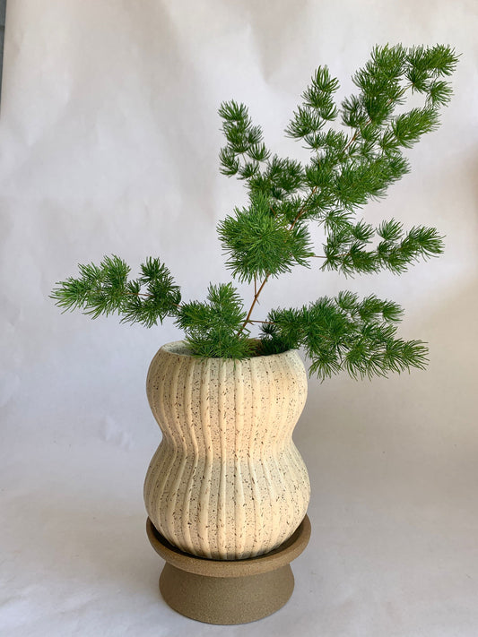 (Sale) 48 Planter + pedestal saucer set - Mipa's pots and plants