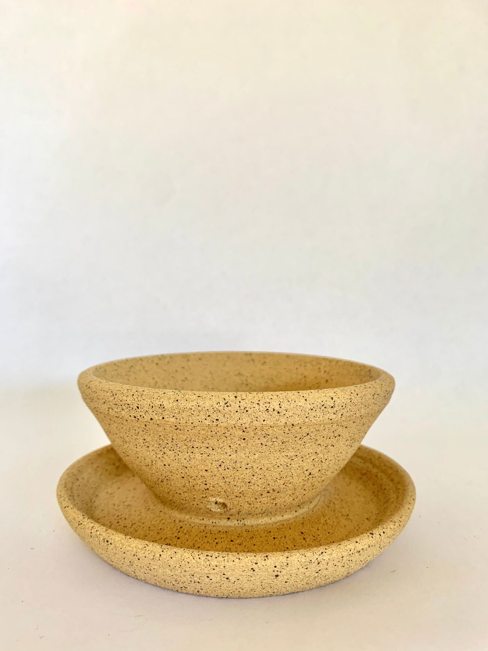 (Sale) 49 caudex planter - Mipa's pots and plants