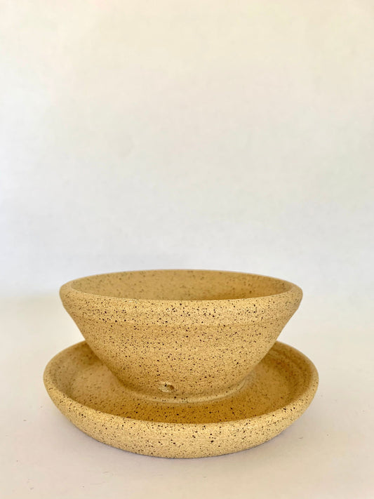 (Sale) 49 caudex planter - Mipa's pots and plants