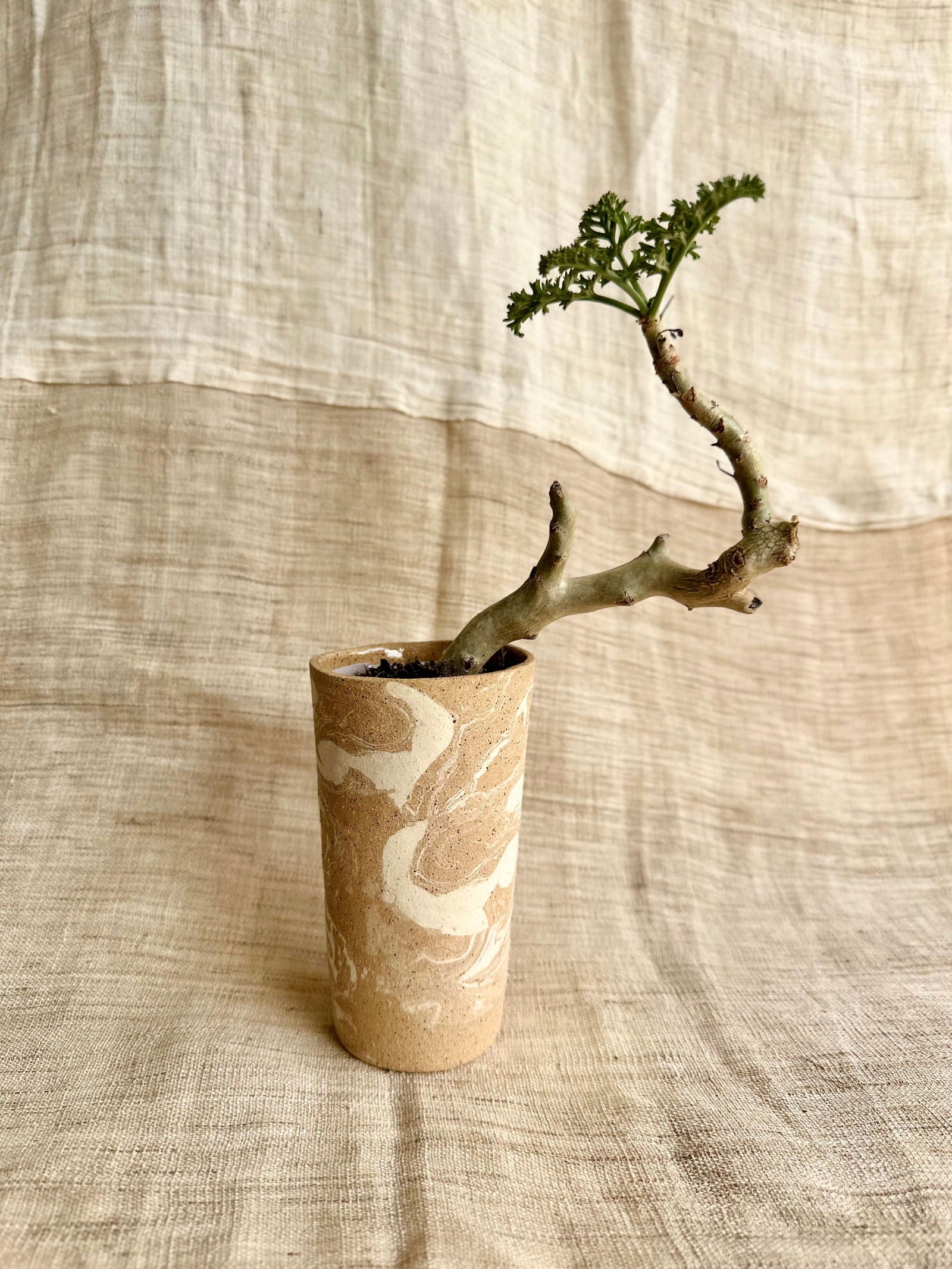 (Sale) 52 sandstorm planter - Mipa's pots and plants