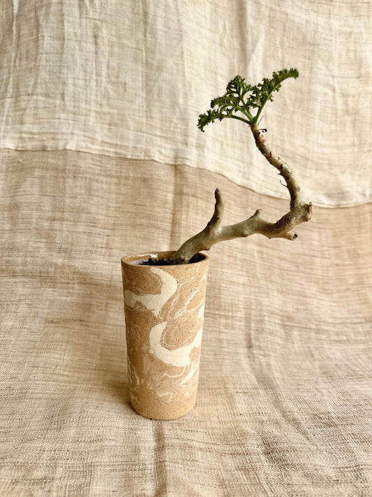 (Sale) 52 sandstorm planter - Mipa's pots and plants