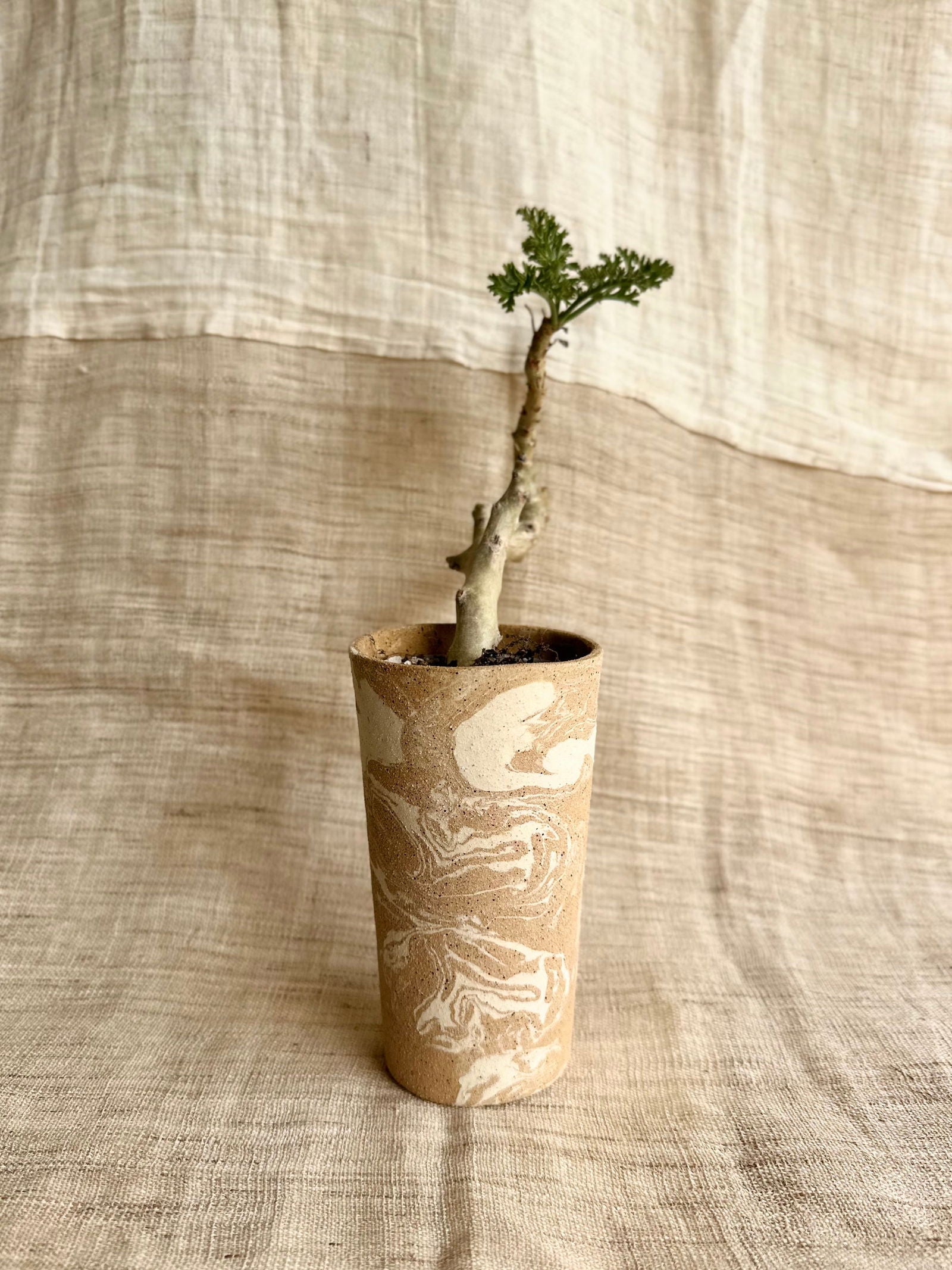 (Sale) 52 sandstorm planter - Mipa's pots and plants