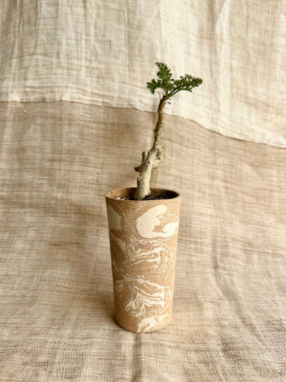 (Sale) 52 sandstorm planter - Mipa's pots and plants
