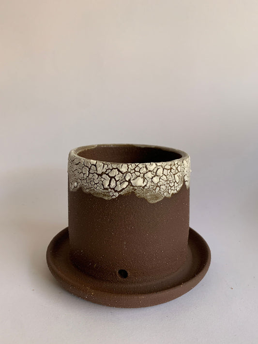 (Sale) 61 planter w/ saucer - Mipa's pots and plants