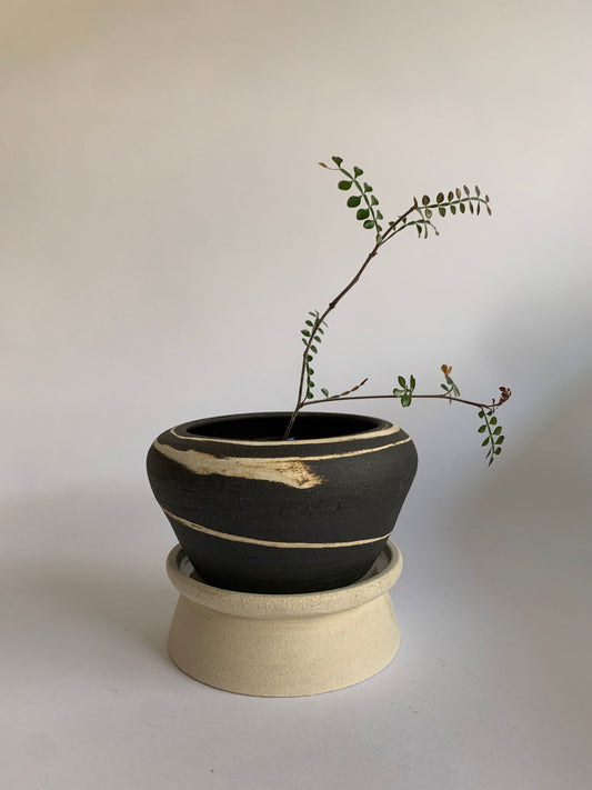 (Sale) 64 pedestal saucer set - Mipa's pots and plants