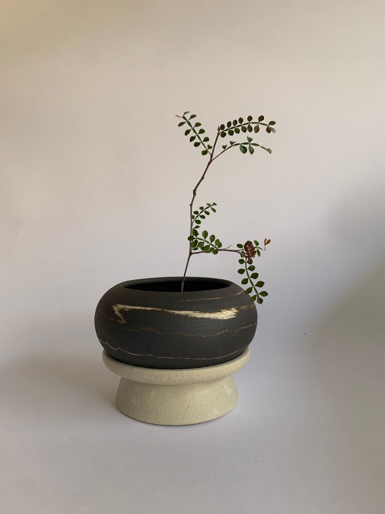 (Sale) 65 pedestal saucer set - Mipa's pots and plants