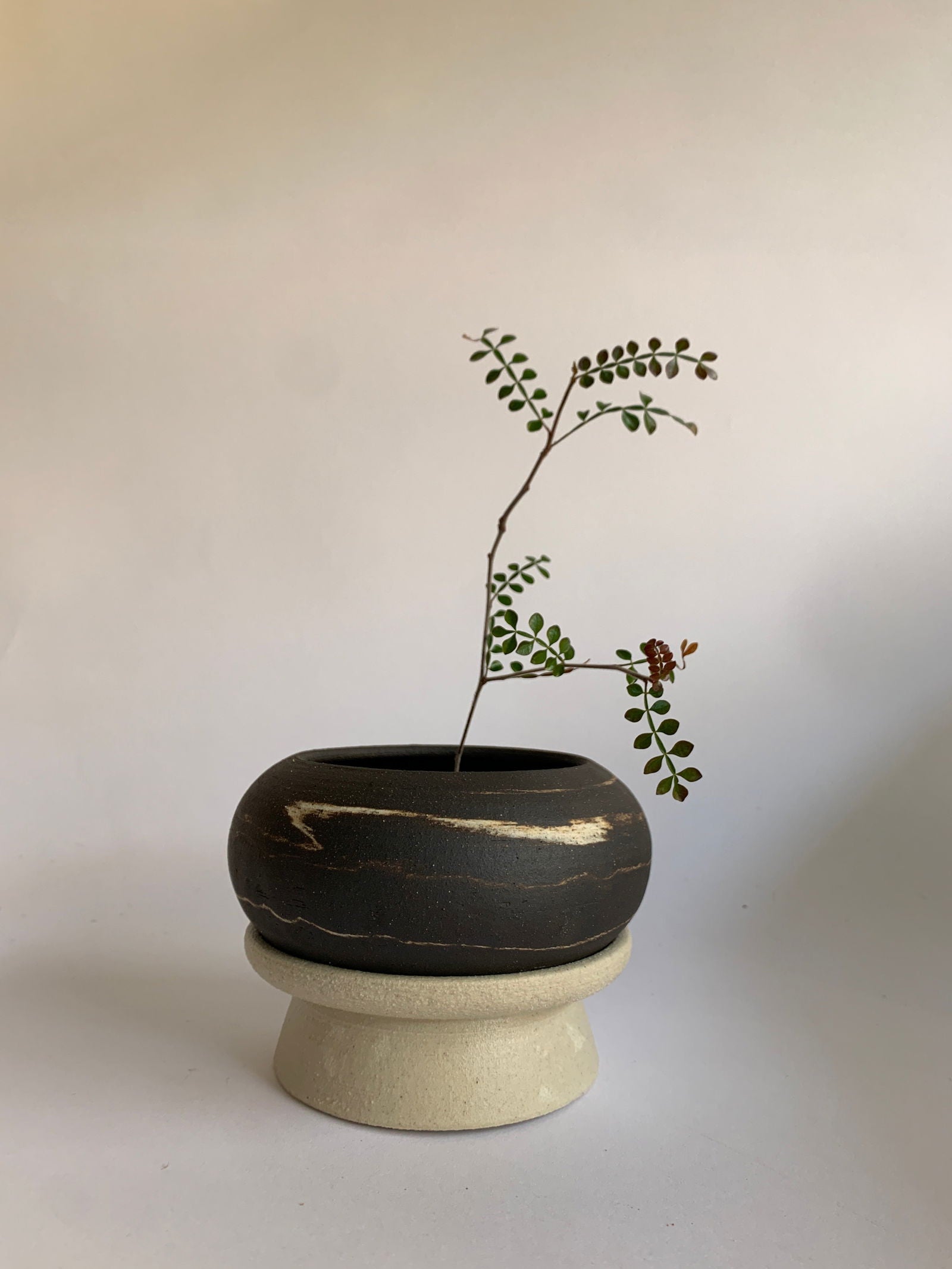 (Sale) 65 pedestal saucer set - Mipa's pots and plants
