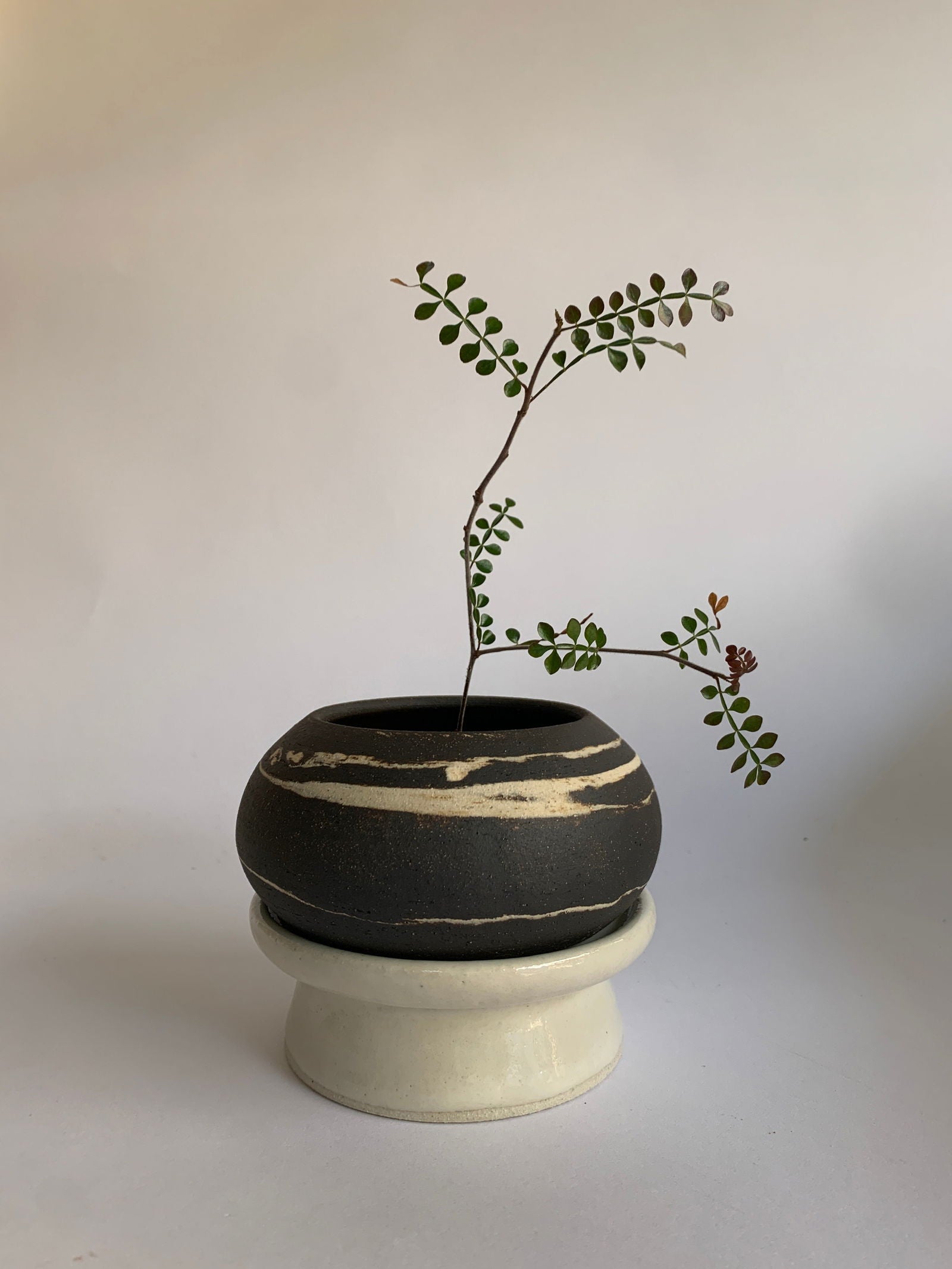 (Sale) 66 pedestal saucer set - Mipa's pots and plants