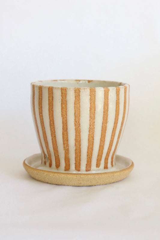 (Sale) 67 striped planter w/ saucer - Mipa's pots and plants