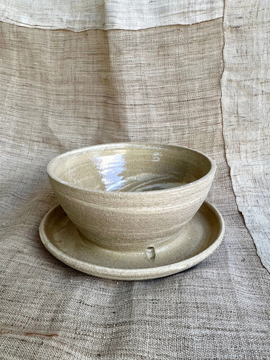(Sale) 71 mud cream caudex planter - Mipa's pots and plants