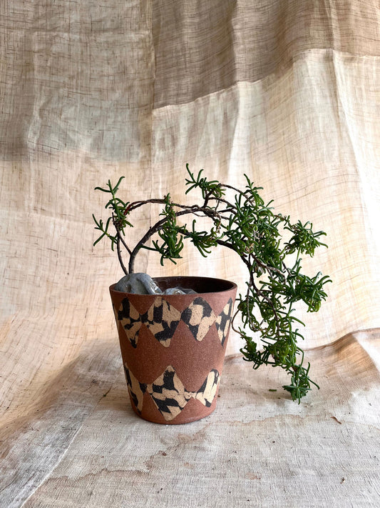(Seconds) 103 red inlay planter - Mipa's pots and plants
