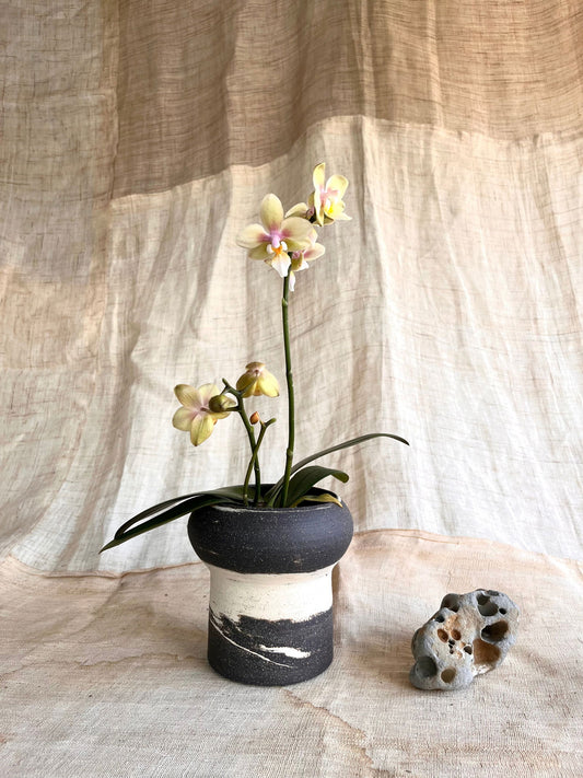 (Seconds) 19 ink wash planter - Mipa's pots and plants