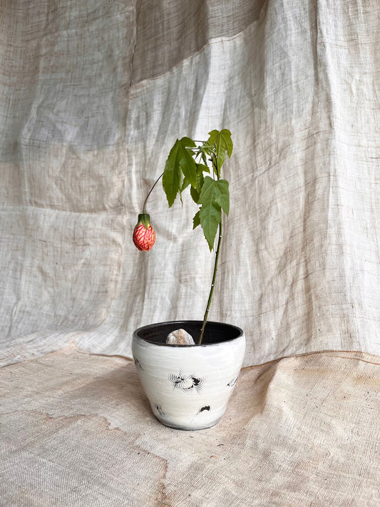 (Seconds) 41 wind planter - Mipa's pots and plants