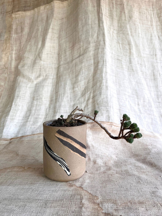 (Seconds) 45 inlay planter - Mipa's pots and plants