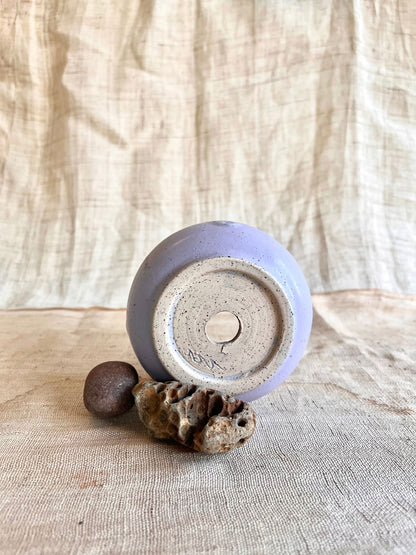 (Seconds) 89 lavender planter - Mipa's pots and plants