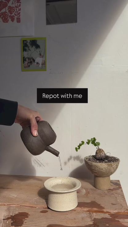 C/c small self-watering planter set
