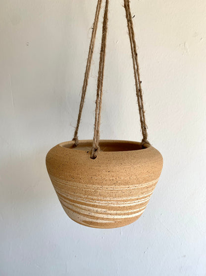 Fern leaf cactus w/ sandstorm hanging planter