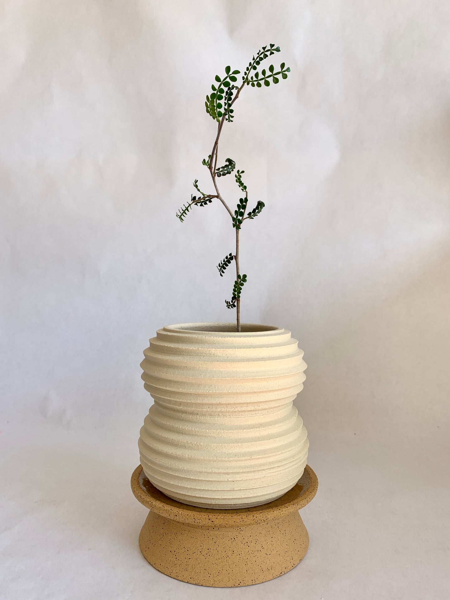 15 Planter + pedestal saucer set