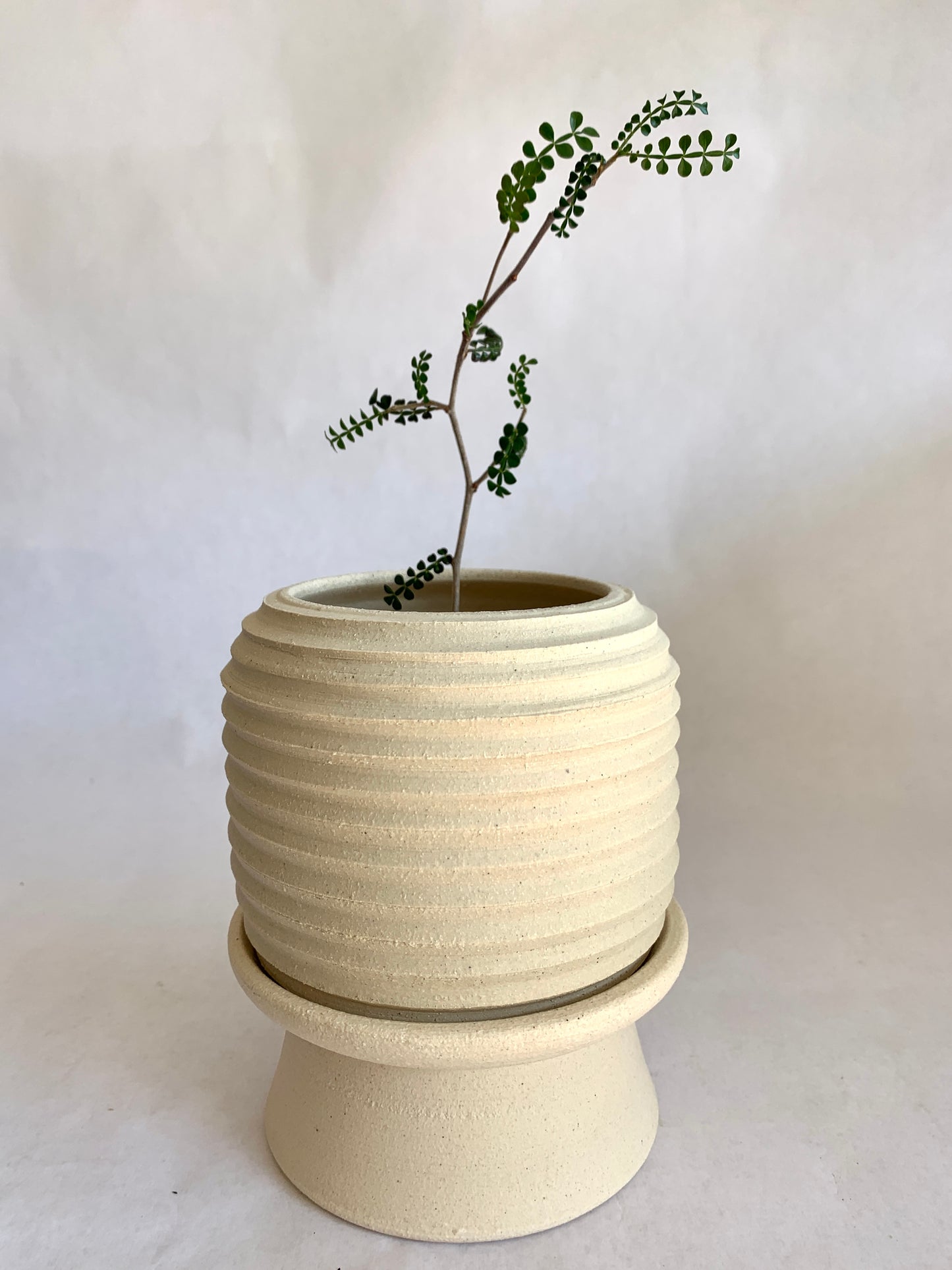 12 Planter + pedestal saucer set